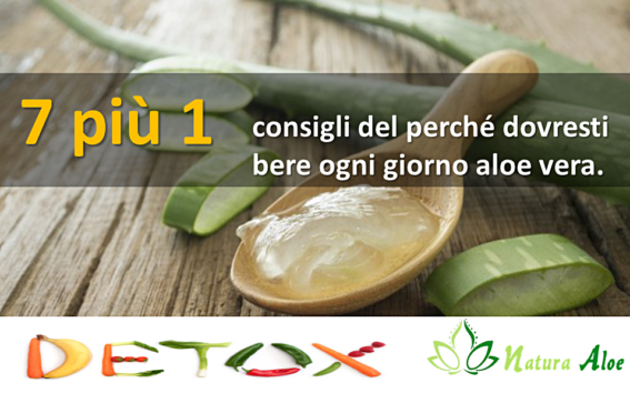 Pierluig Maggio 7 più uno consigli sull'aloe vera e i suoi benefici