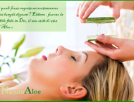 Quello che devi sapere dell' Aloe Vera per il tuo corpo